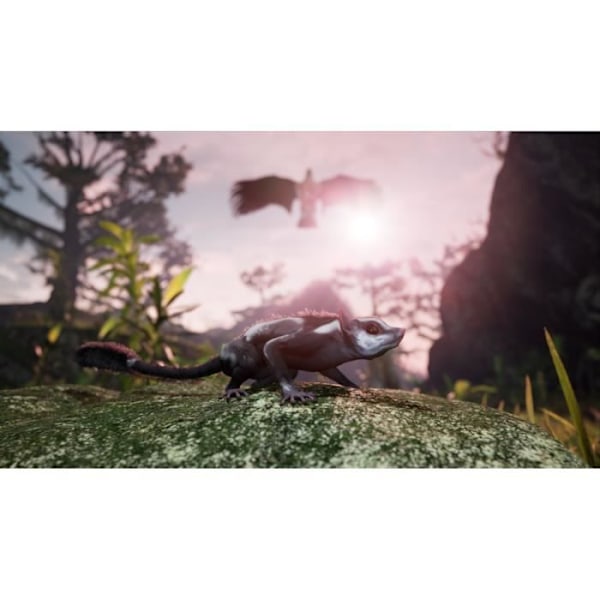 PS4-peli - Perp Games - Away The Survival Series - Flying Marsupial - Special Edition - Adventure