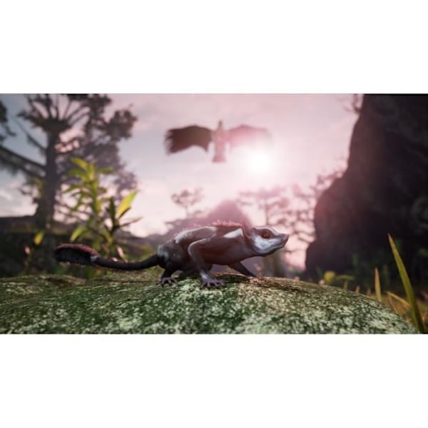 PS4-spel - Perp Games - Away The Survival Series - Flying Marsupial - Special Edition - Äventyr