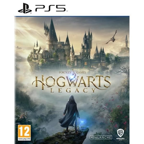 HOGWARTS LEGACY: HOGWARTS LEGACY PS5-peli Grå