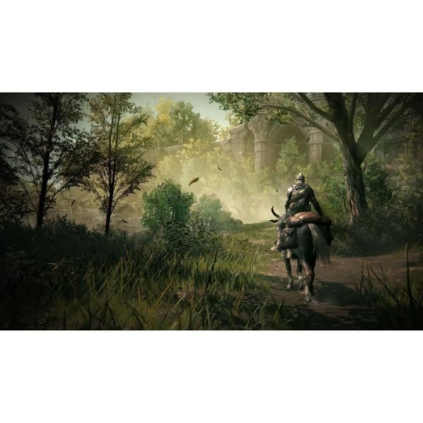 Elden Ring Shadow Of The Erdtree Goty - PS5-spel