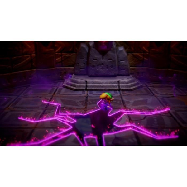 The Legend of Zelda: Echoes of Wisdom • Nintendo Switch-spil Flerfärgad