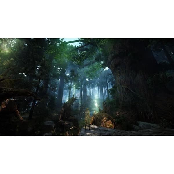 Black Desert - Prestige Edition Spil PS4 Hvid