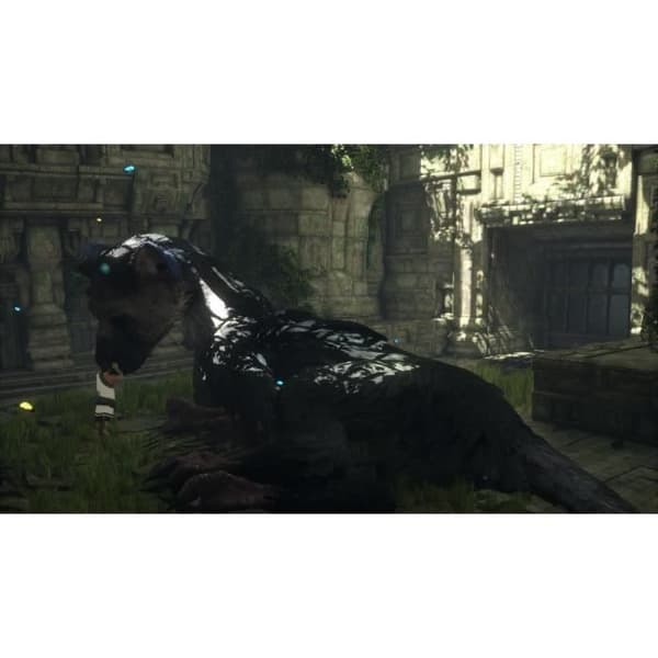 The Last Guardian Spil PS4 Vit