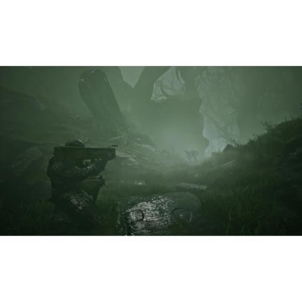 Mortal Shell PS4 peli Vit