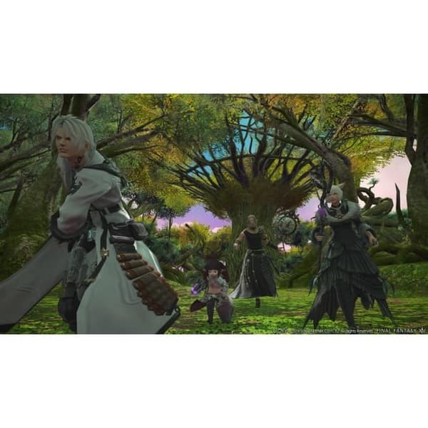FINAL FANTASY XIV: Complete Edition PS4-spil