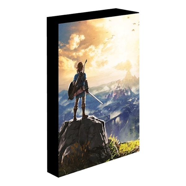 "Ramme barn Pyramide Legende Om Zelda I De Vilde" blå/grön/grå
