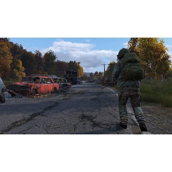 Strategispil - DayZ - PS4 - Online-tilstand - Op til 60 spillere - Standard Edition