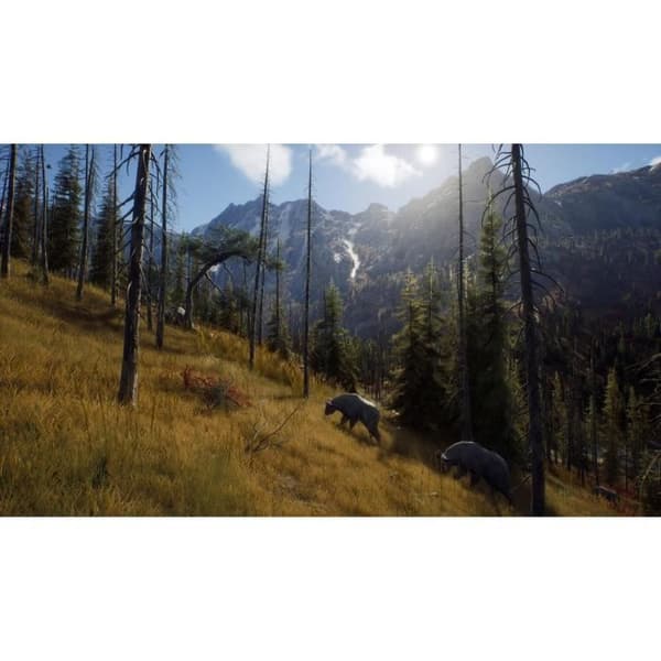 Way of the Hunter Xbox Series