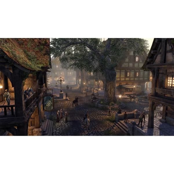 The Elder Scrolls Online: Blackwood Collection PS4 -peli Vit