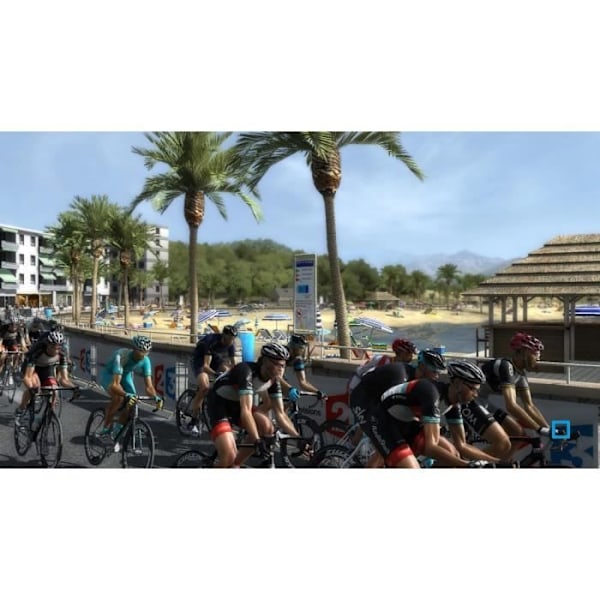 Peli PC - Pro Cycling Manager 2013 - Tour de France - Pyöräily simulaatio - Cyanide
