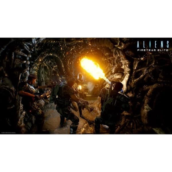 ULDENDE: Fire Team Elite Xbox Series X og Xbox One Game