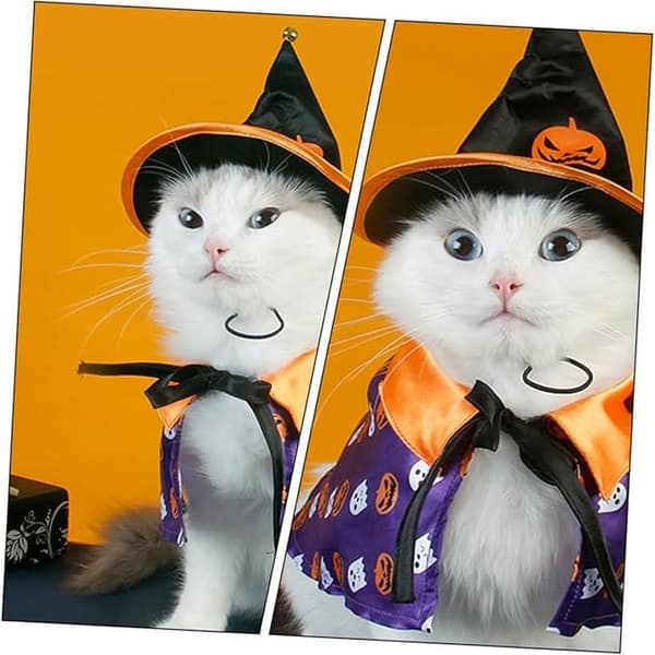Halloween Kattekostume Hat og Kappe til Kæledyrsfestdekoration med Græskarmønstret Kappe
