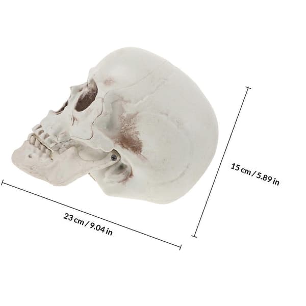 Plastik kraniehoved-pynt til dekoration 1 stk. Halloween kraniehoved