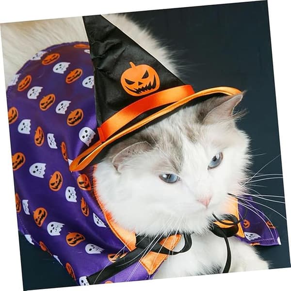 Halloween Kattekostume Hat og Kappe til Kæledyrsfestdekoration med Græskarmønstret Kappe