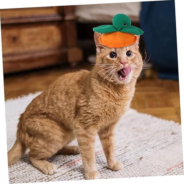 Kattelue i gresskarform Halloween Kjæledyr Hodeplagg Bedårende Hette for Fest