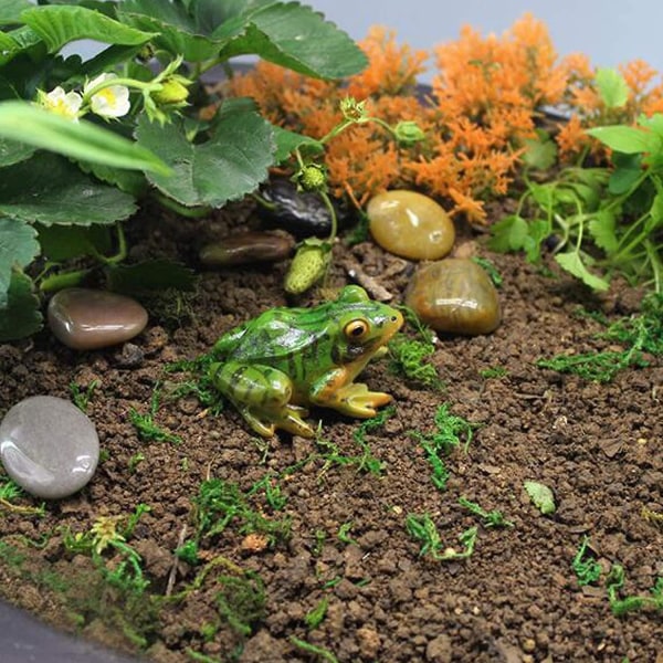 Miniatyr Frog Hage Statue, 2 stk Mini Frog Harpiks Dyreskulptur Miniatyr Fairy Garden Frog Hage Patio Mikro Landskap