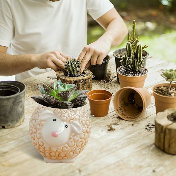 Owl Pot Keraaminen mehikasviruukku Kaktus ruukkukasvien istutusbonsai set