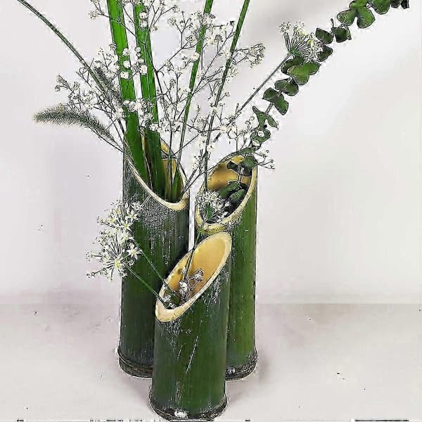 Grön bamburörvas för litet blomsterarrangemang 3-delat set 26-27