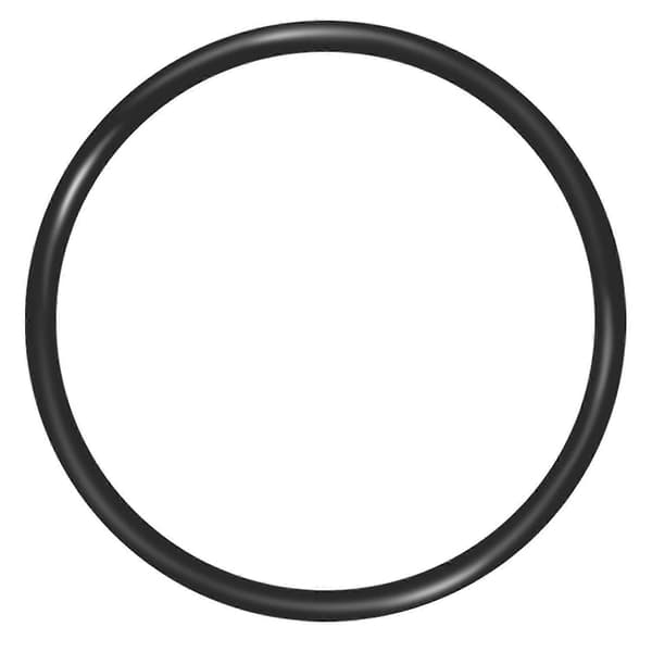 Vatten 151122 Ersättnings-O-ringar för storlek Big Blue ORing Buna-N (3-pack)