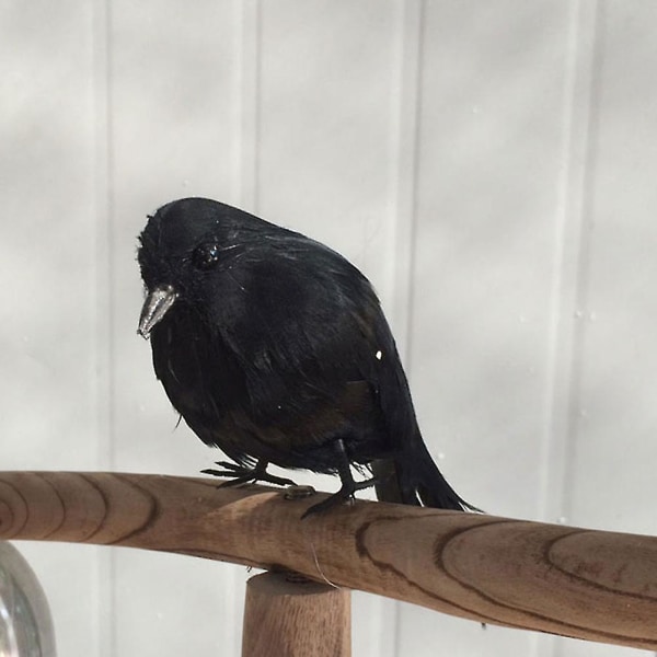 Black Trim Halloween Prank Leker Halloween Triks Leker Halloween Black Feathered Crows Halloween Hagedekor