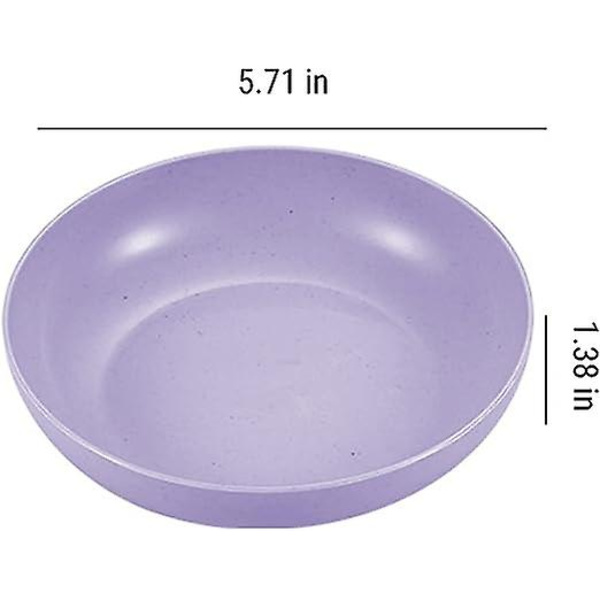 5 kpl lautaset, 5,7 tuuman kyllästämättömät lautaset, 5 set , kevyet muovilautaset, astianpesukoneen ja mikroaaltouunin kestävät muovilautaset, uudelleen käytettävät, kevyet