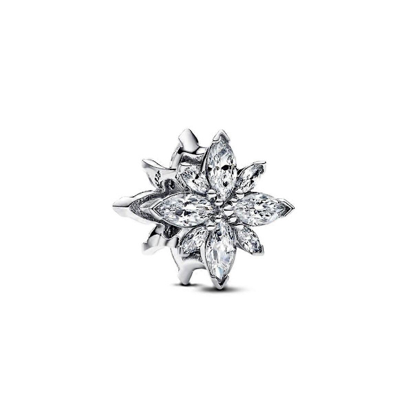 Dam Pärlor 793591C01 Silver