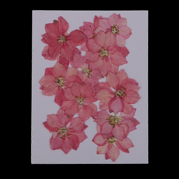 12 stk. pressede blomster tørret ridderspore pressede tørrede blomster DIY Pink