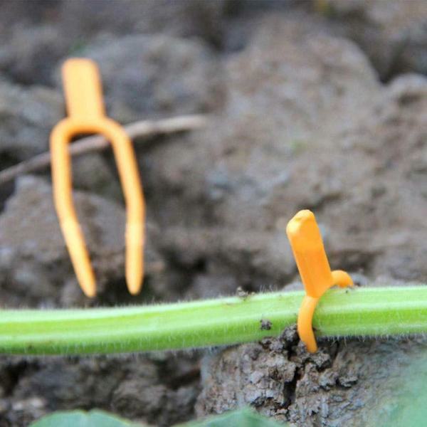 50 stk. Fastgørelsesfastgørelsesarmatur Planteclips Have Jordbærgaffel Farming Clamp
