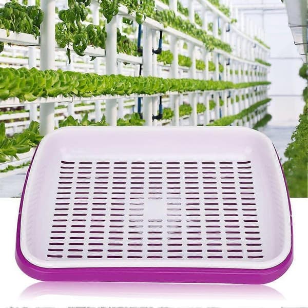 2 x Multifunktionella dubbelskiktade hydroponiska frögroningsbrickor, växtblomfröodlingskrukor, lila