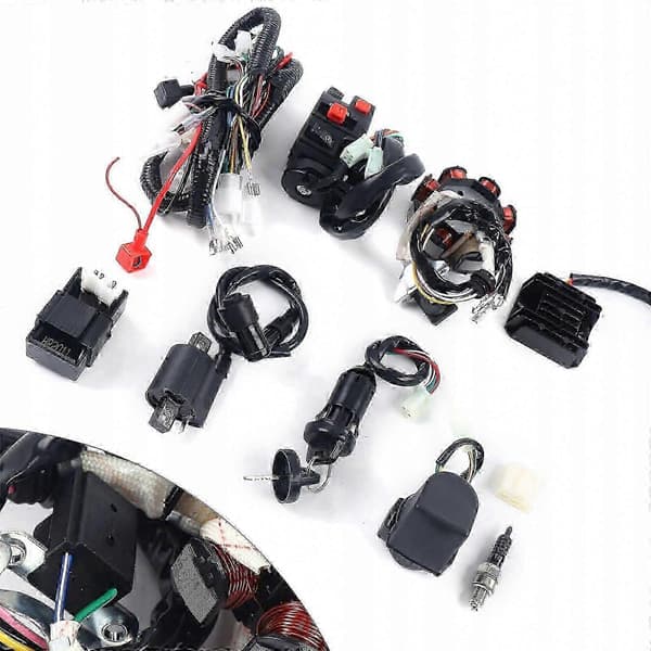 ATV Quad 150-250 300cc komplett ledningsnät