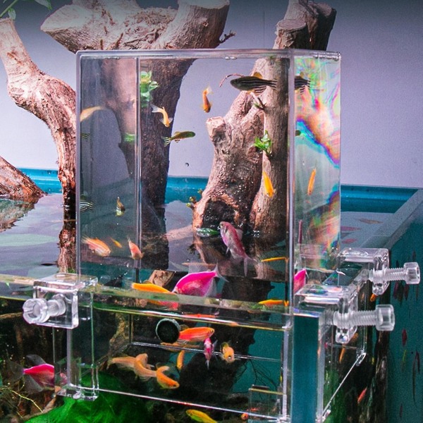 Akvarium Vakuum fisktorn ovanför vattnet med snäppar akvarium dekoration Transparent utökat simområde Akvarium