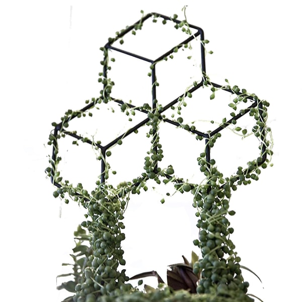 Hilan muotoinen kasvisäleikkö itse tehtyyn ruukkukiipeilykasvien tuki, kukkavihannekset ruusu viiniköynnösherne muratti kurkut, rautametalli