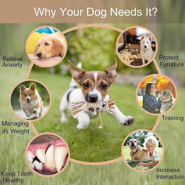Kitkuvat koiranpentulelut - Interaktiiviset - Pienet koiran purulelut - Lemmikkieläinten koulutuslelut (ruskea)