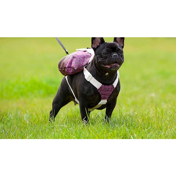 Pet Dog Sele Ryggsäck - Vattentät, Easy Comfort, Doggie Bag Dispenser (stor)