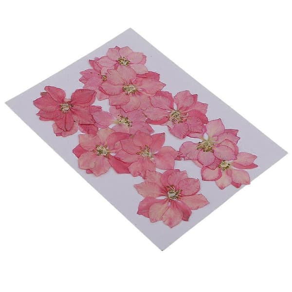 12 stk. pressede blomster tørret ridderspore pressede tørrede blomster DIY Pink