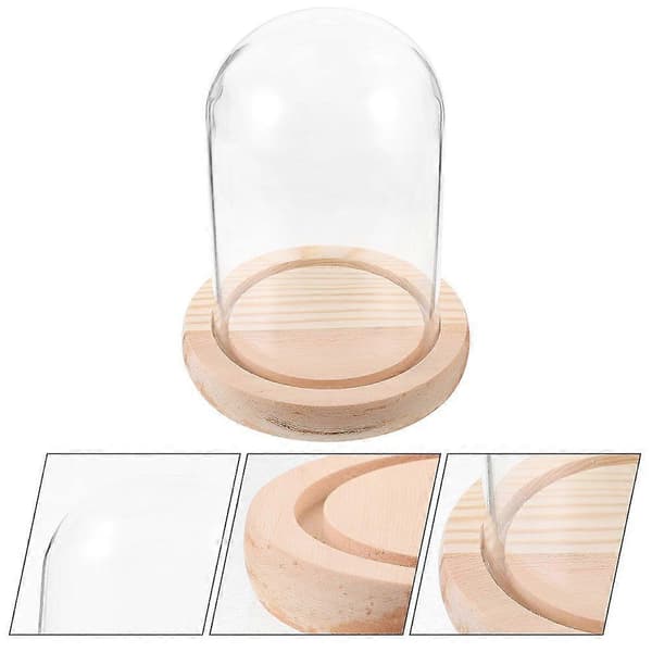 Konserverad blomma glaskupol displaykupol transparent glaskupol med bas 16.00X10.00X10.00CM Multi