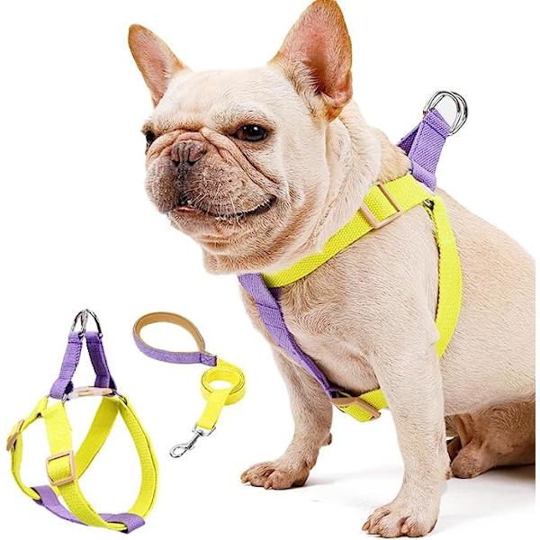 Koiran valjaat Koiran valjaat ja talutushihna No Pull Nylon lemmikkihihnat pienille koirille Ranskanbulldog Chihuahua lyijyhihna ja set yorkeille