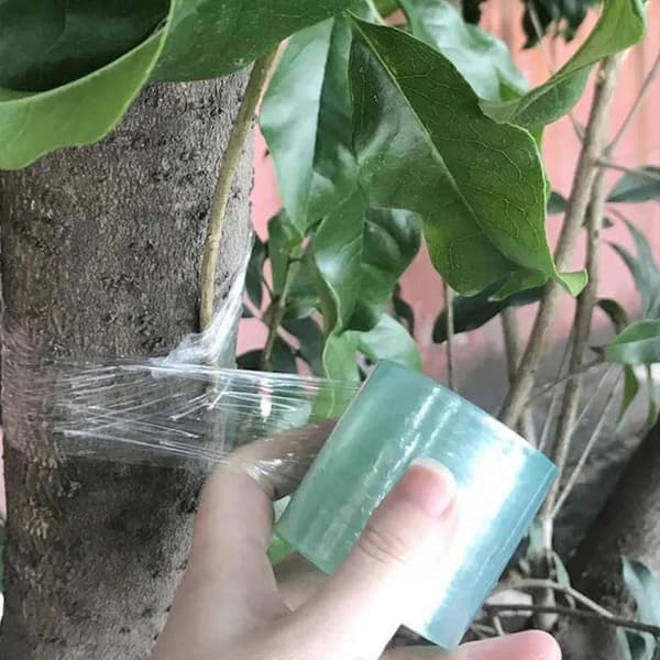 Klar frugttræ plante podningstape multifunktionelt tilbehør blomsterbinding Transparent Width 2cm