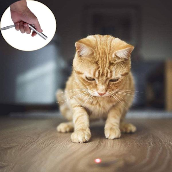 Luonnonpuu Lemmikkipapaukaija Raaka puu haarukka puun oksa Teline Orava Lintu Hamsterin oksa Ahvenet Pureskelulelut Stick Dia Dia. 2,5 cm 15 cm