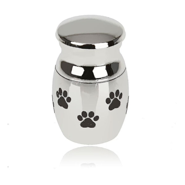 Bästsäljare 4x Cremation Urn Halsband Pet Ash Container Hållare Memorial Pendant Silver