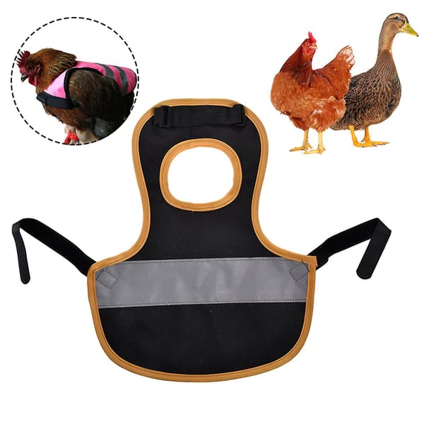 Hönssadlar Fjäderfäförkläden Med Elastiska Band Kycklingskydd black