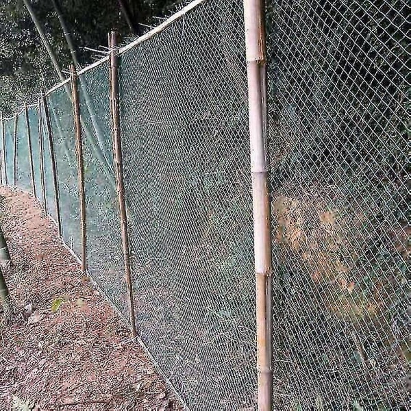 Antifågelnät och stängsel och grödor Skyddsfäktning Mesh Antifågel Rådjur Katt Hund Cken Net Ing Net #calu 4*12m