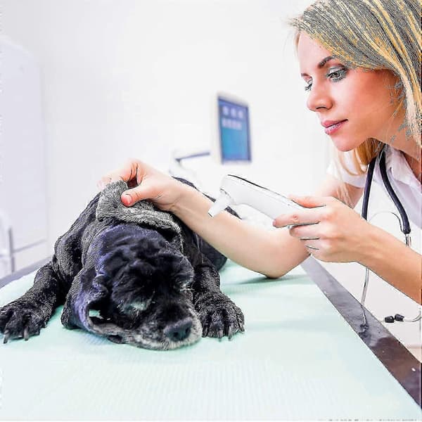 Øretermometer for katt og hund – kun for kjæledyr