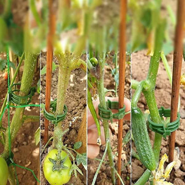 100 st växtstödklämmor Tomatbindningar Snöre Vinrankor Spaljéburar Klätterväxter Grönsaker 2,5 cm