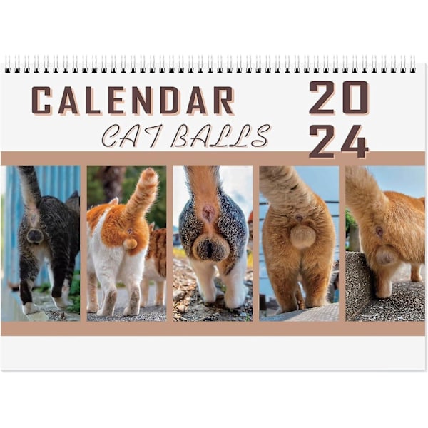 Kattkalender Rolig Kalender 2024, 2024 Väggkalender Månad till Vy för Kvinnor, Män och Kattälskare Humor Gåvor