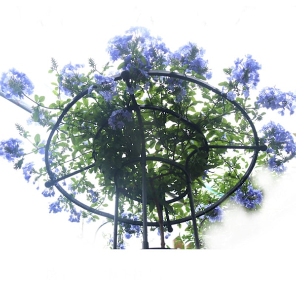Havegitter til klatreplanter og blomster, Metal plantegitter til udendørs brug snngv 120cm