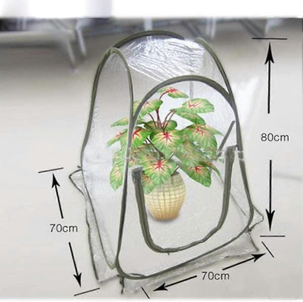 Vintertelt Plantedrivhus Plantedrivhus Plantedrivhus Minigarderobe Vinterbeskyttelse