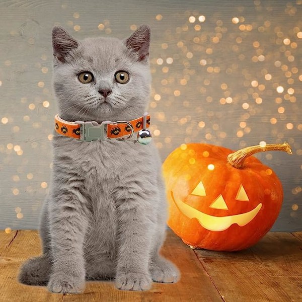 Halloween Cat Collar Breakaway with Bell Pumpkin -pantat kissoille Koirankorut urospannan (E, one size)