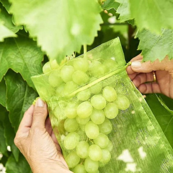 Bunch Protection Bag Grape Fruit Organza Bag med snøring gir total beskyttelse Wine Red(100PCS) 17x23CM