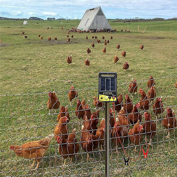 Elektriskt stängsel Tråd Anslut och Elektriskt stängsel Laddare, Elstängsel, Elstängsel Bly Wir